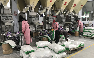 德州武城:金融“春風”送來企業(yè)復工“及時雨”